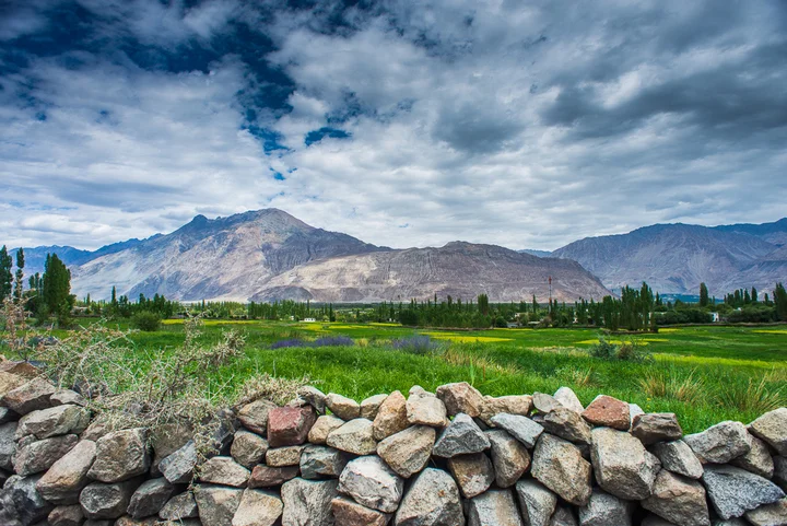 About, Nubra Valley, Things to do in Nubra Valley (12)