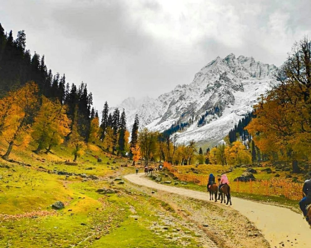 SonaMarg_Kashmir, Golden Meadow,, Popular for its Thajawar Glacier, Places to visit in Kashmir