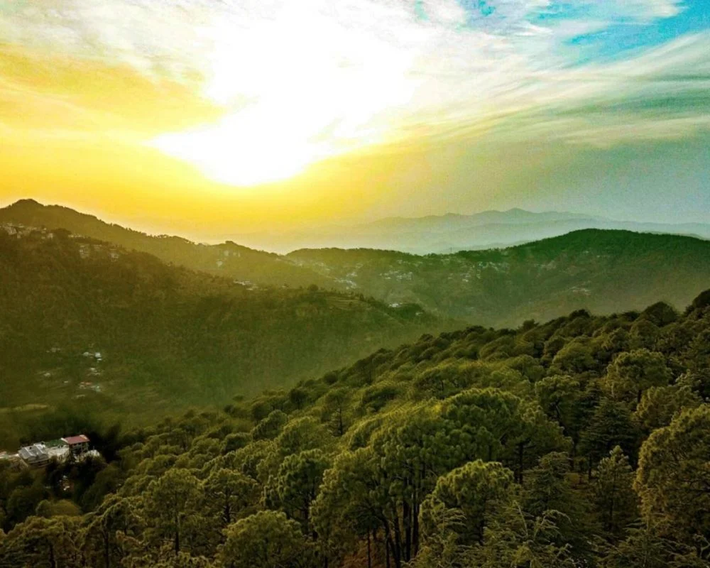 Summer Hill, Shimla