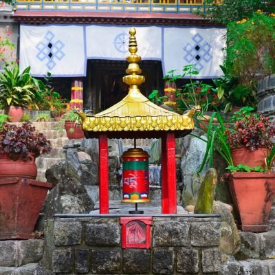 Norbulingka Institute,