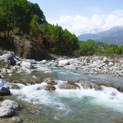 Neugal Khad, Top 10 things to do in palampur - Himachal pradesh