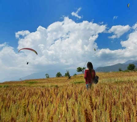 Paragliding and Hand-gliding in Bir, palampur