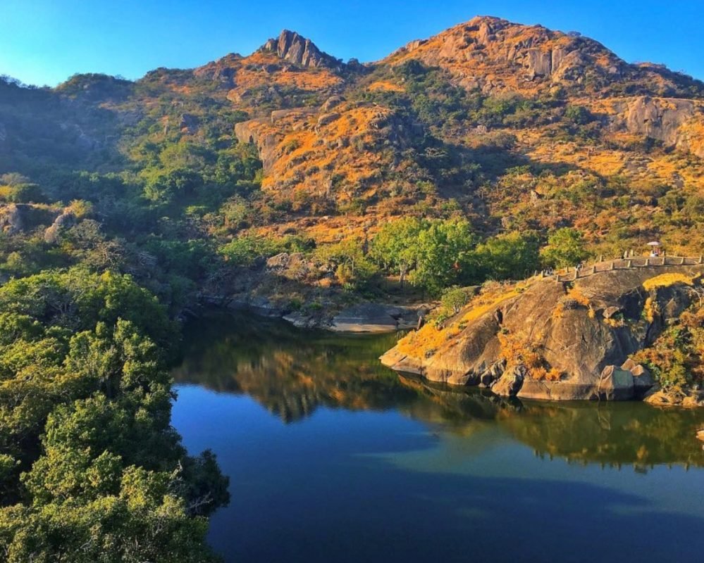 Mount Abu Sanctuary, wild animals