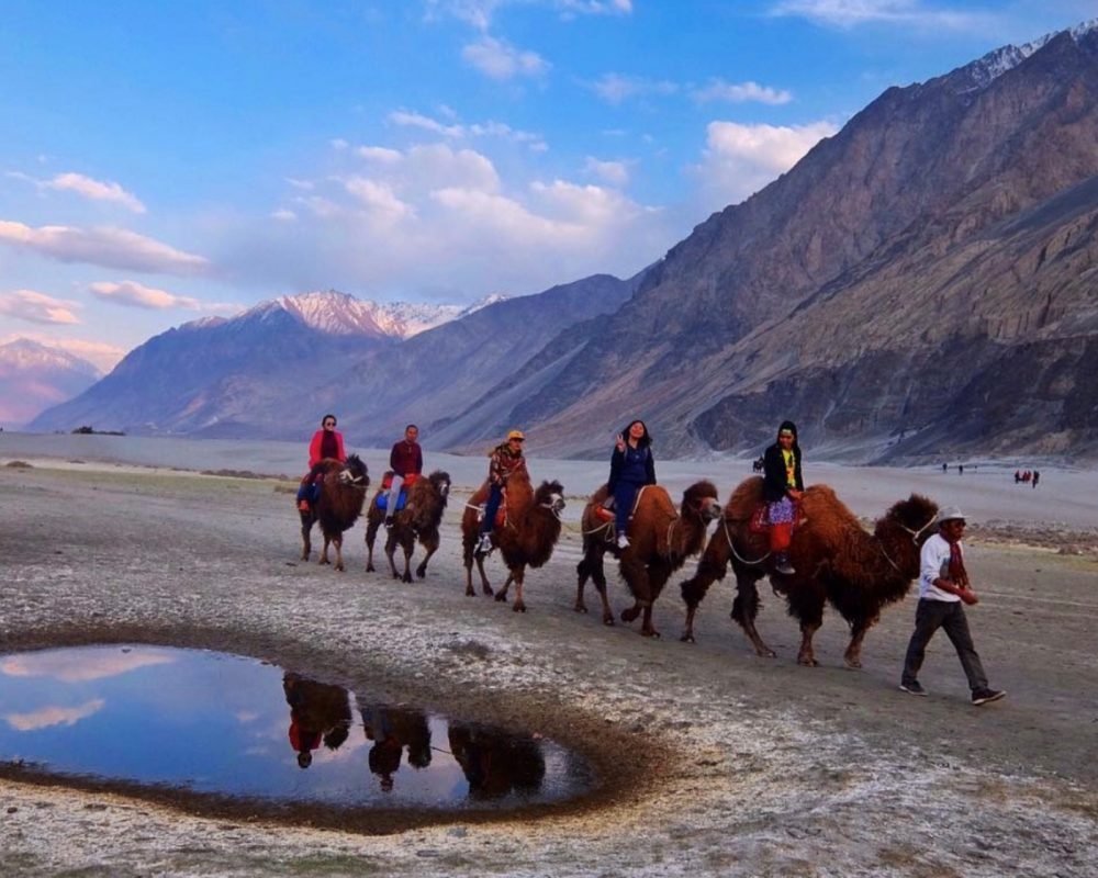 SAND DUNES AT HUNDER, Nubra Valley, Ladakh, Places to Visit in Ladakh