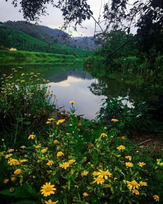 Blossom Park, best places to visit in Munnar