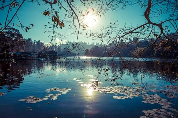 kodaikanal lake