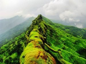 Lonavala Lake is surrounded by natural scenery