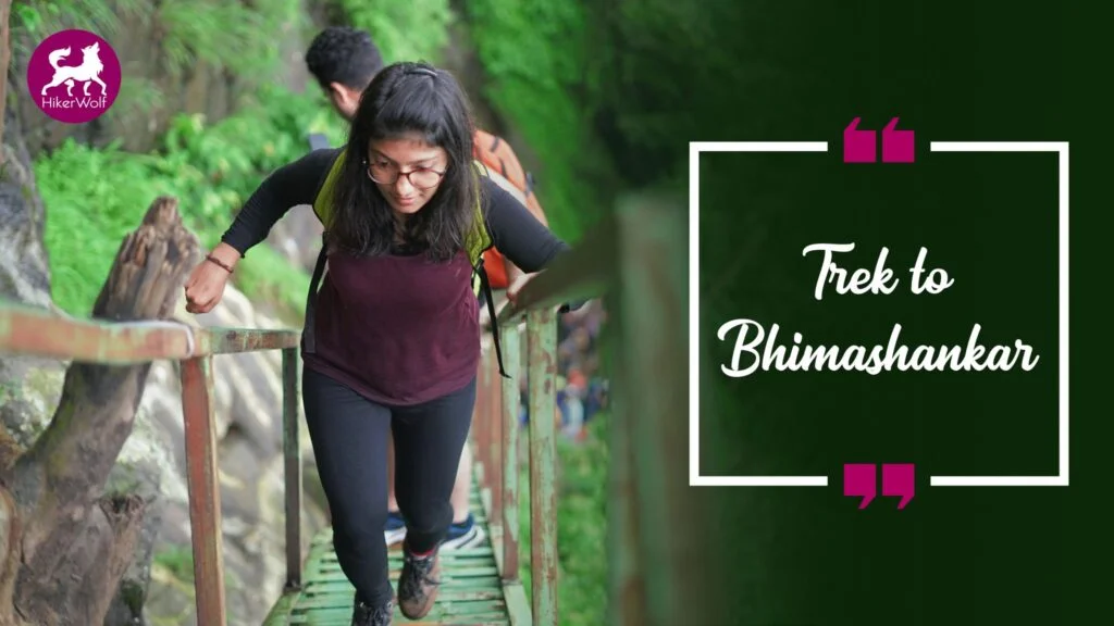 Bhimashankar Trek Picture