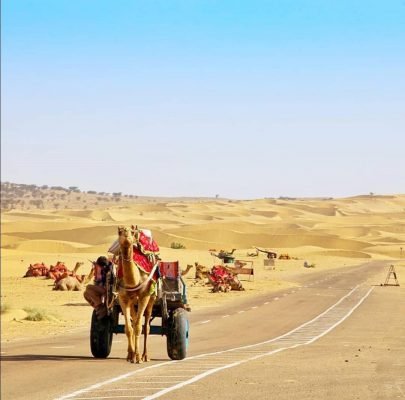 Camel safari in Jaisalmer