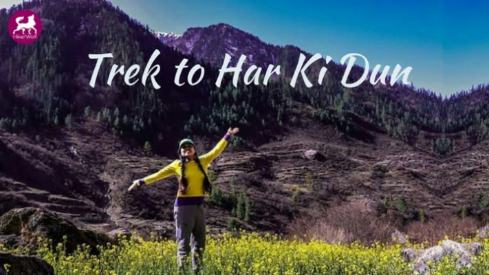 Trek To Har Ki Dun With Hikerwolf Team