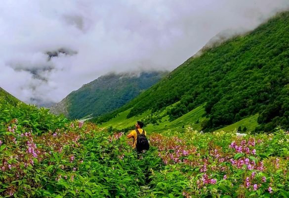 The Valley of flowers is one of the few Himalayan treks