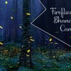 The best fireflies zone, Bhandardara