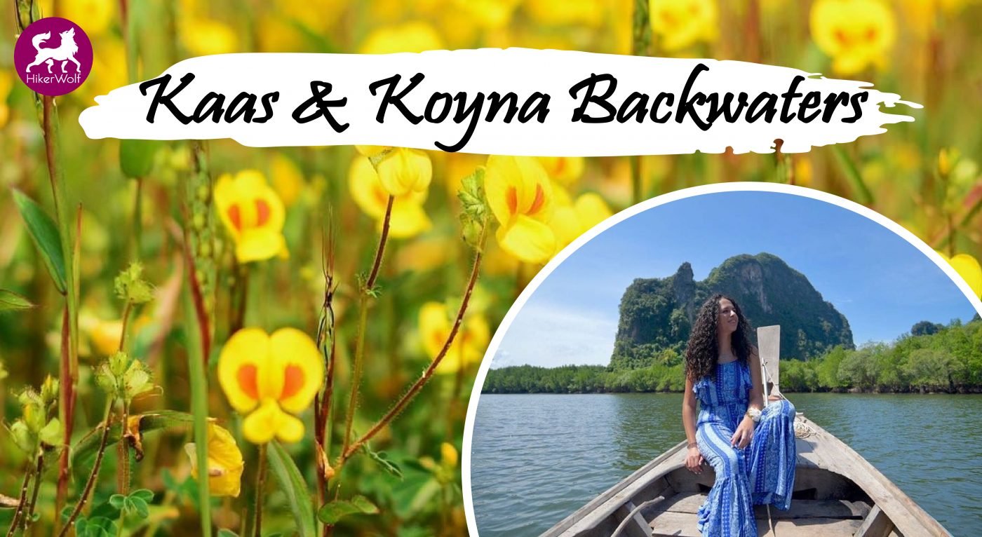 Kaas and Koyna Backwaters