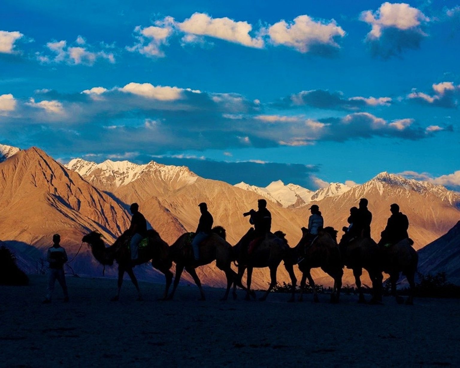 A comprehensive guide for things to do in Nubra Valley, Ladakh