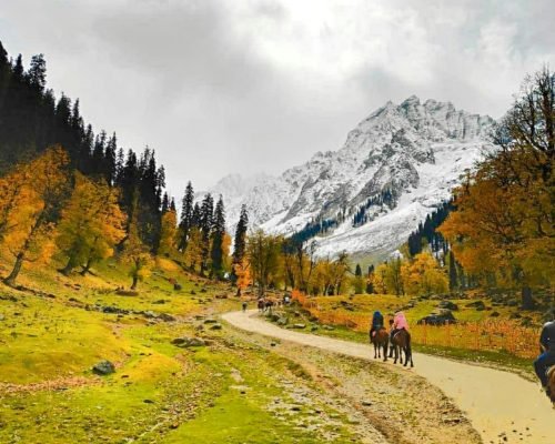 SonaMarg_Kashmir, Golden Meadow,, Popular for its Thajawar Glacier