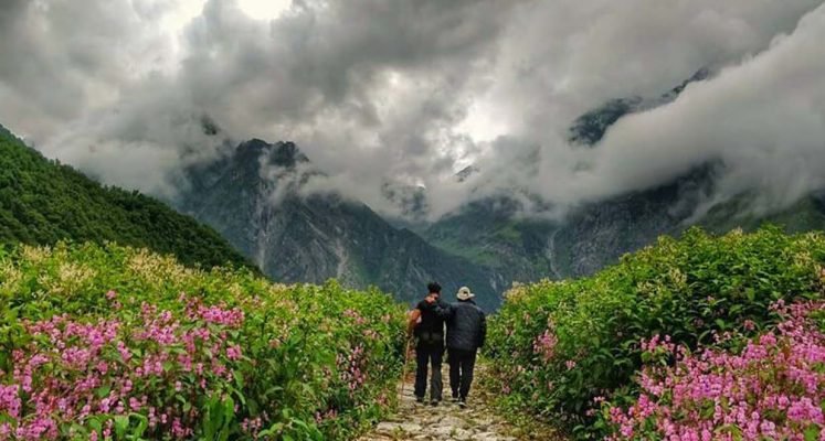 Valley Of Flowers Route