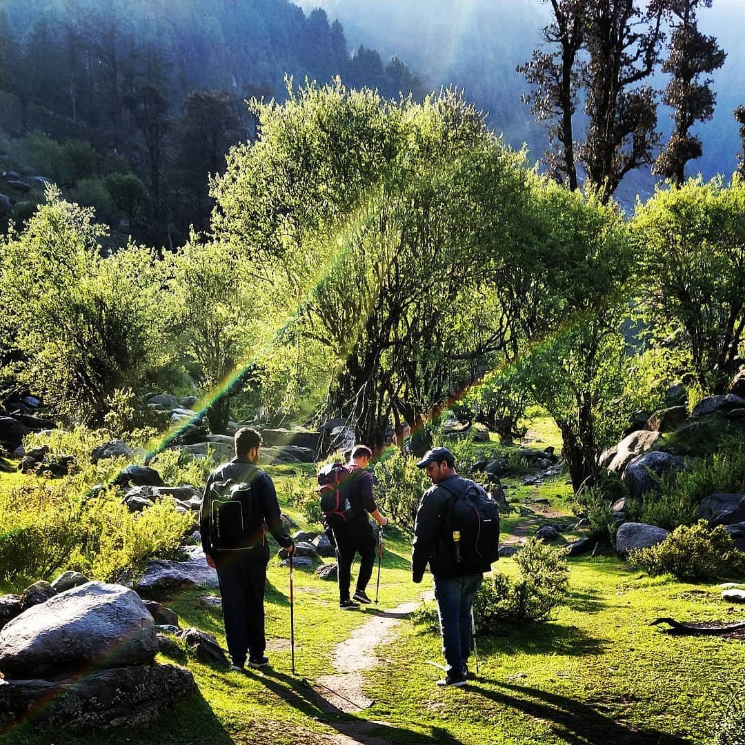 A Travel Guide to Barot Valley , Himachal Pradesh - HikerWolf