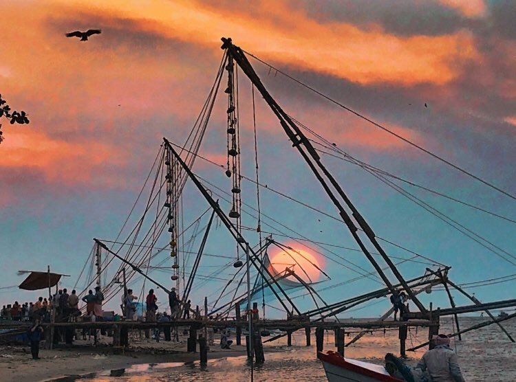 Top Fishing Net Dealers in Kozhikode - Best Fishing Woven Net