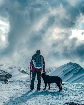 Man with Dog In Snowy Mountains |Kedarkantha