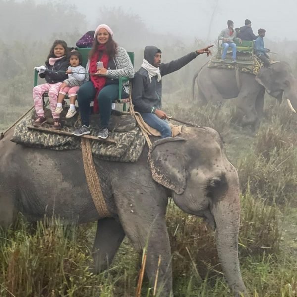 A Family Enjoying Elephant Safari In Kaziranga National Park