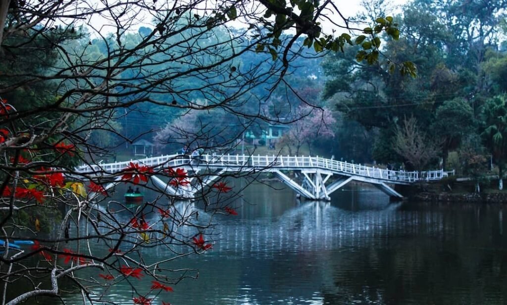 cold places to visit near shillong