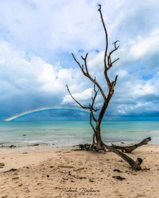 Andaman | Kala Pathar Beach - HikerWolf