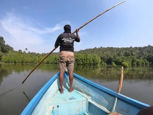 Andaman and Nicobar Islands | Mangrove Creek - HikerWolf