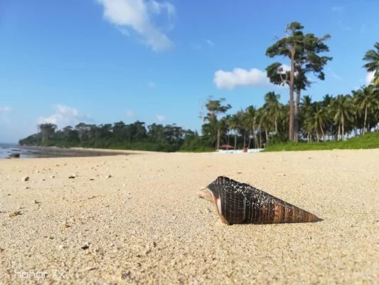 Andaman and Nicobar Islands | Wandoor Beach - HikerWolf