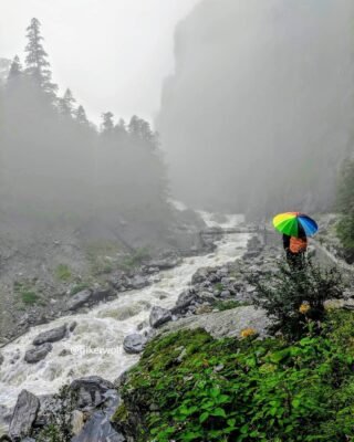 Valley of flower trek