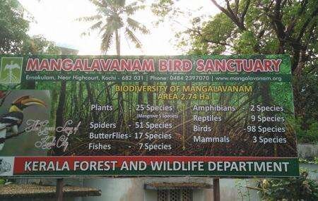 Mangalavanam Bird Sanctuary