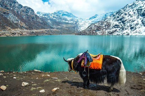 tourist spots near gangtok