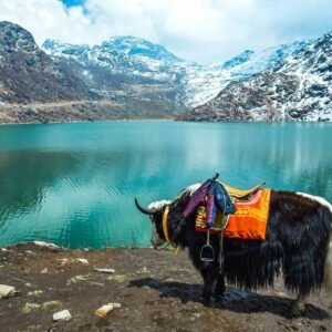 Sikkim2