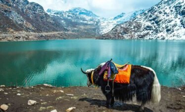 Trip to Sikkim With Darjeeling