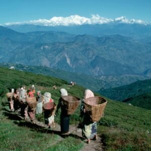 Sikkim5