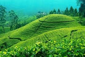 Sikkim6