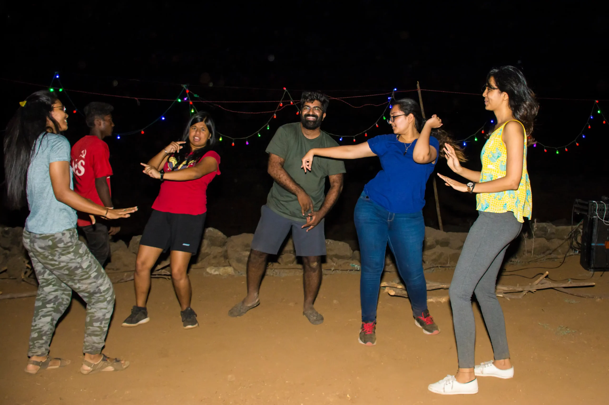 fireflies bhandardara (6)