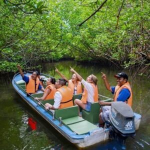 Madu River Boat Safari