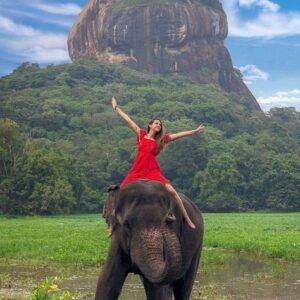 Sigiriya Elephant