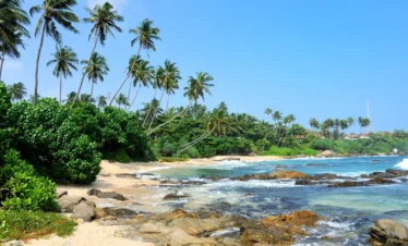 Tour to Srilanka