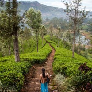Sri Lanka Spice Trails
