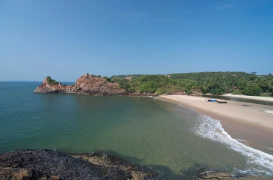 tarkarli (1)