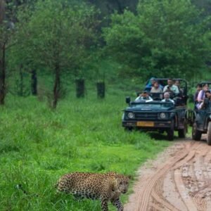 Jaipur Private Day Tour