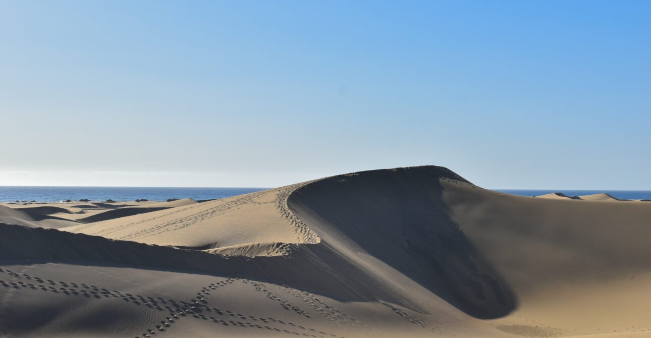 Rann of Kutch: A White Desert That Comes Alive in Winter