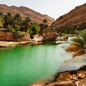 oman 11