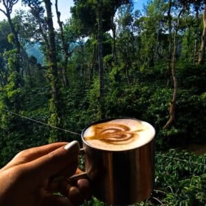 Lost in the lush greens and misty mornings of…