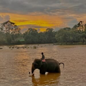 coorg